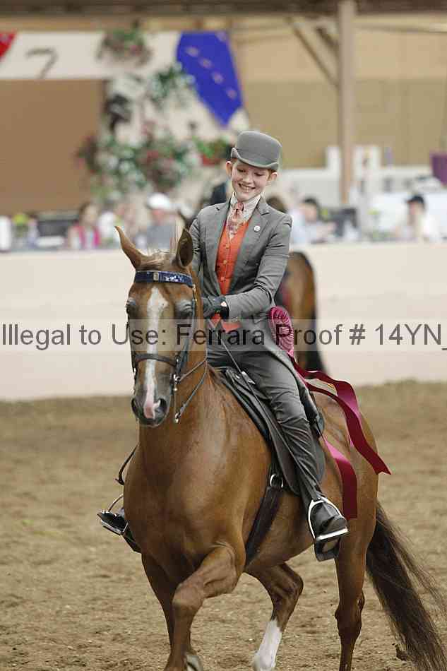 Proof 14yn_19320