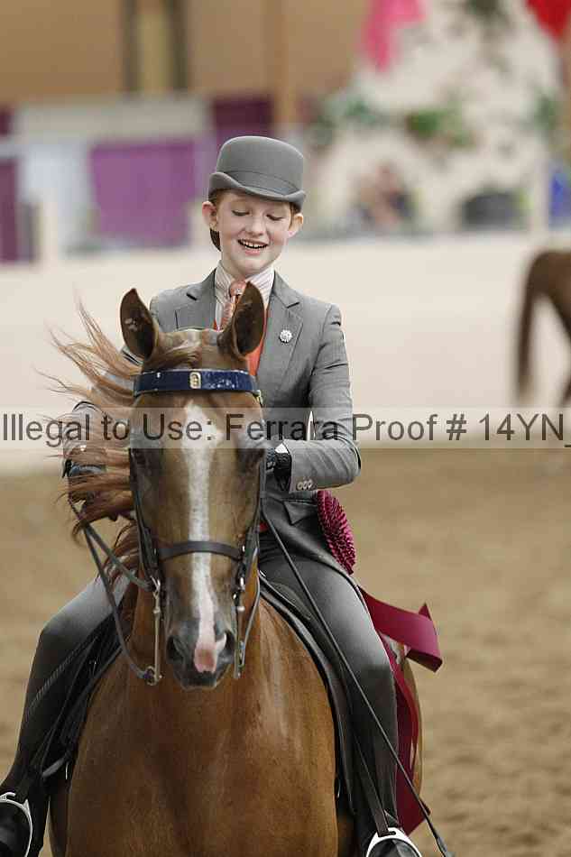 Proof 14yn_19321