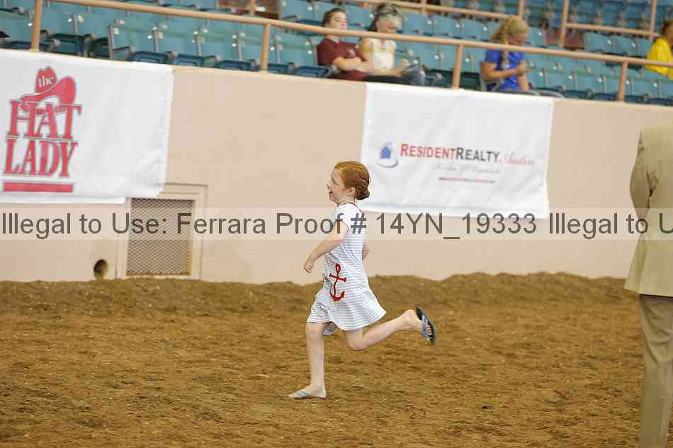 Proof 14yn_19333