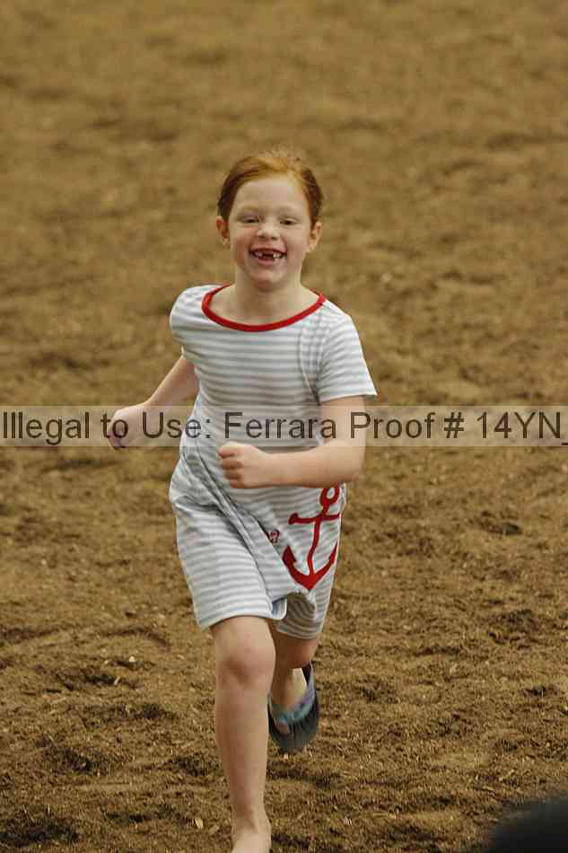 Proof 14yn_19336