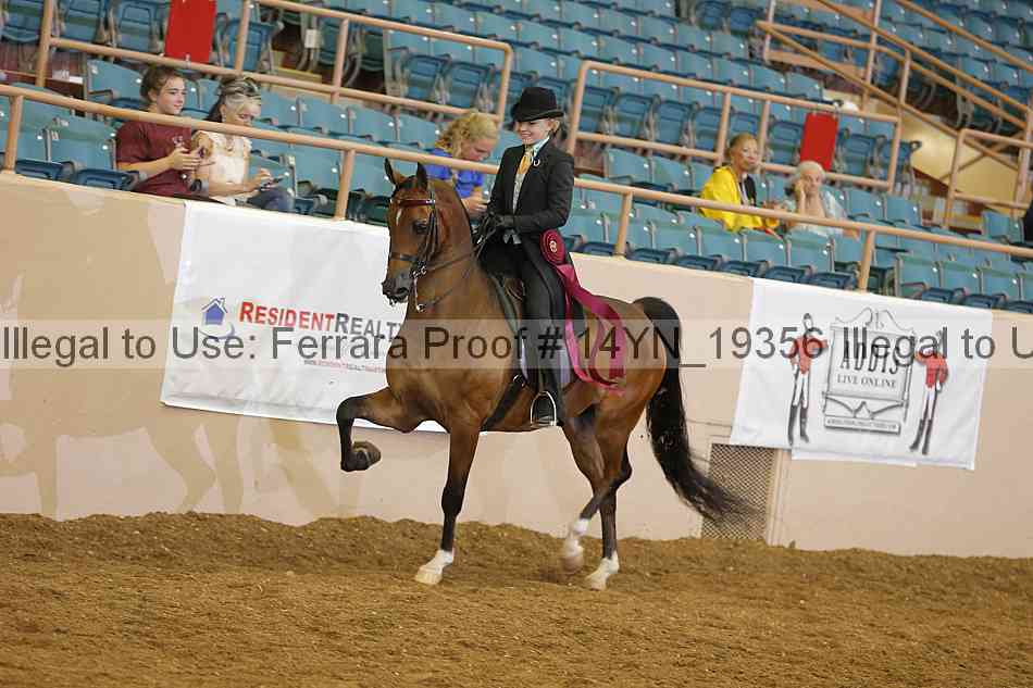 Proof 14yn_19356
