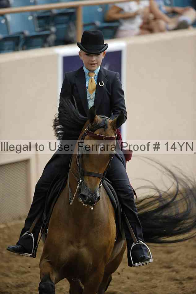 Proof 14yn_19362