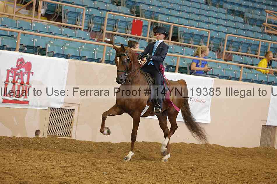 Proof 14yn_19385