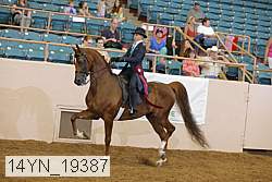 14yn_19387 proof