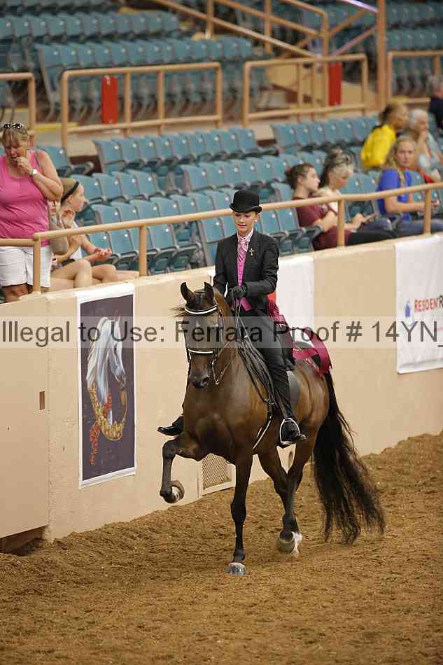 Proof 14yn_19391