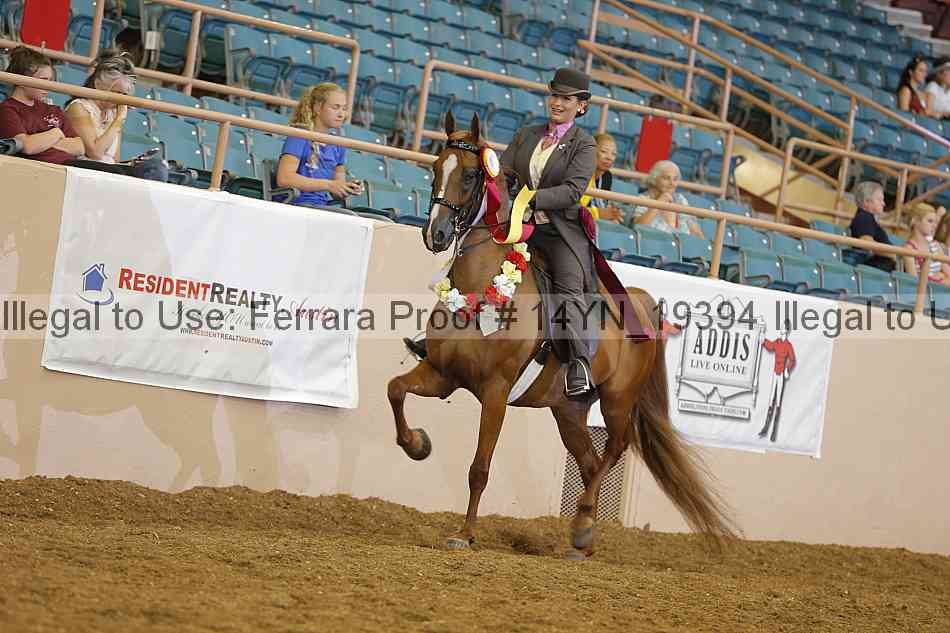 Proof 14yn_19394
