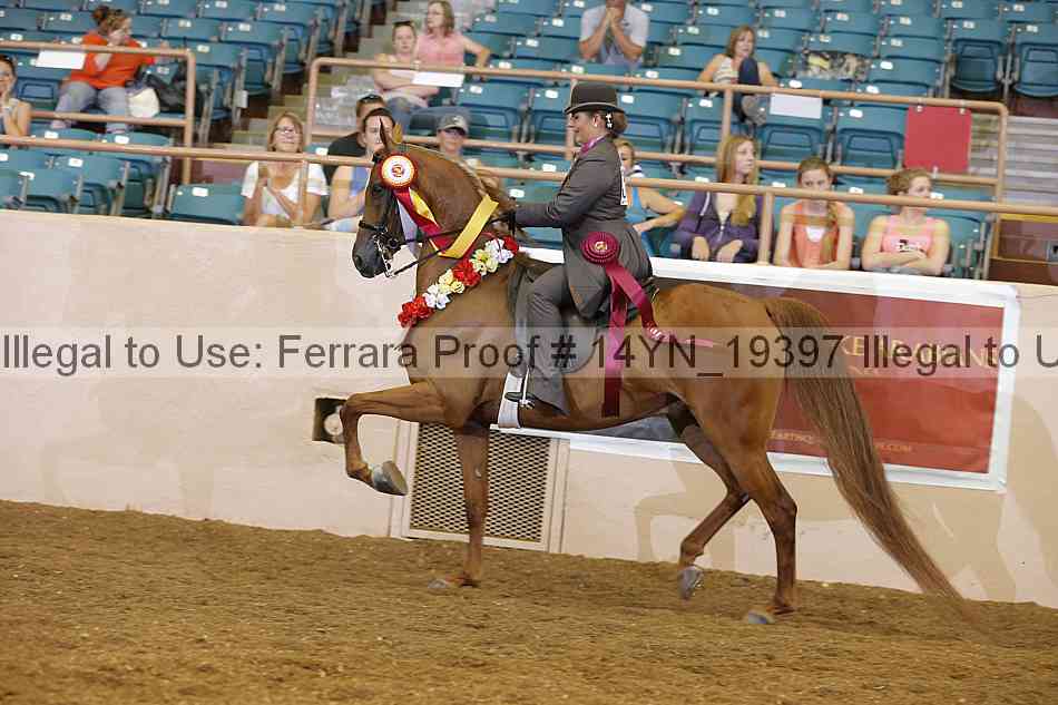 Proof 14yn_19397