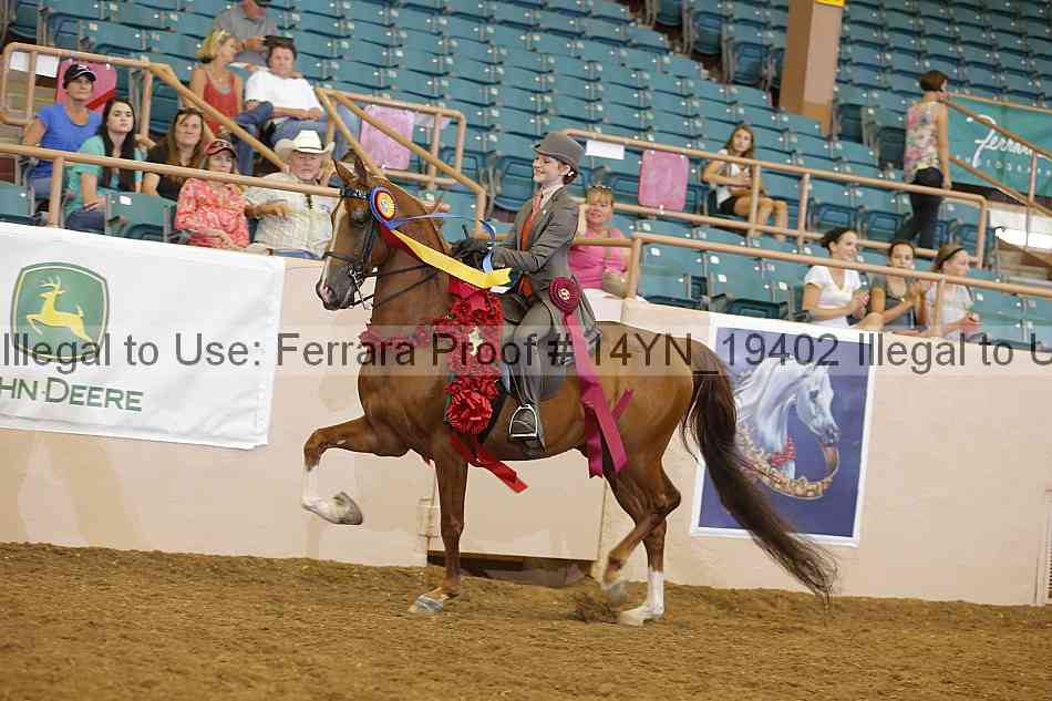 Proof 14yn_19402