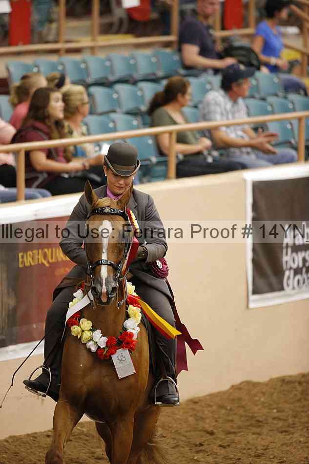 Proof 14yn_19403