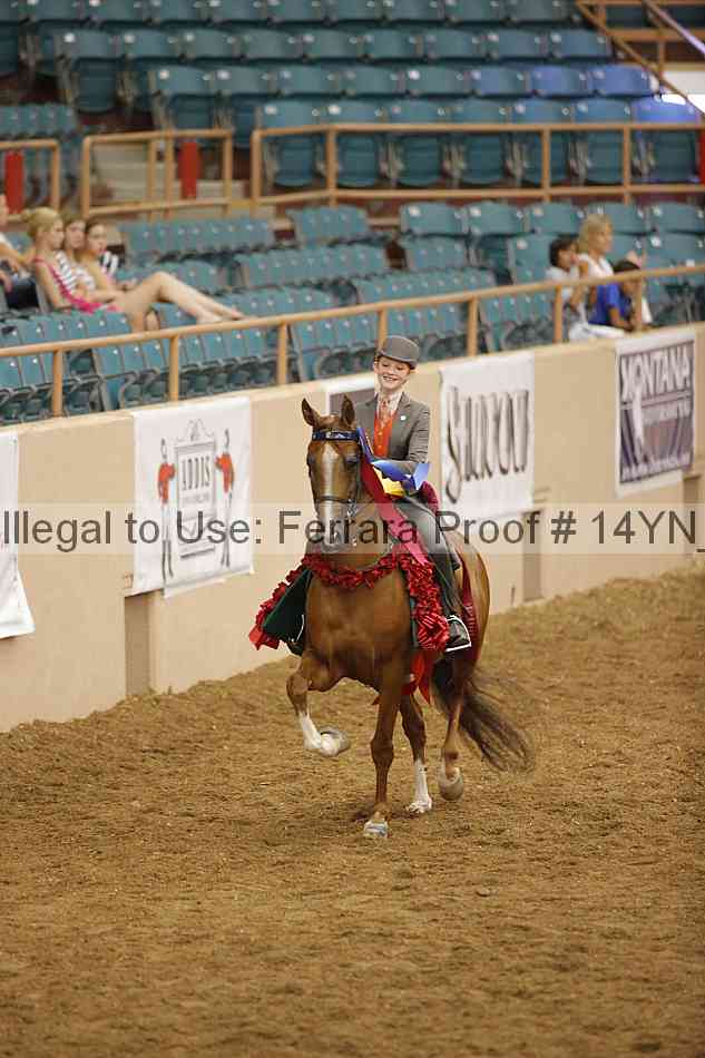 Proof 14yn_19405