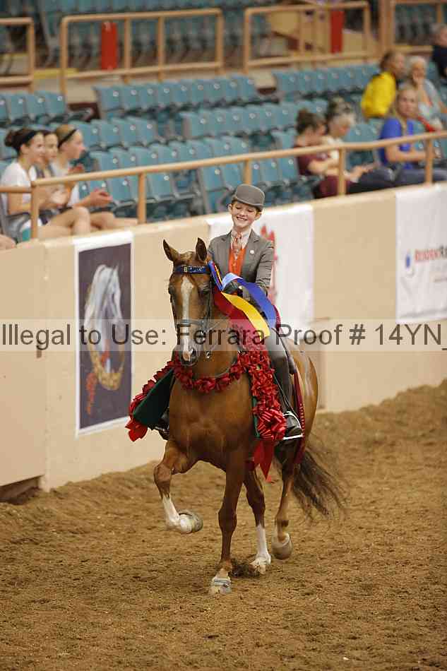Proof 14yn_19407