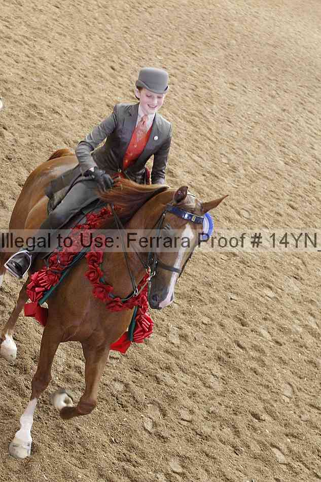 Proof 14yn_19409