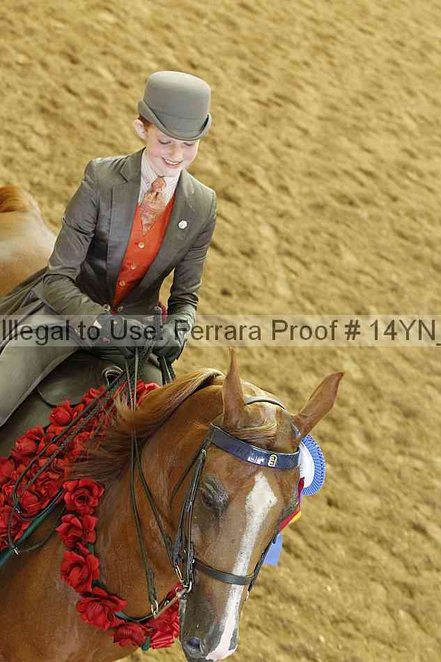 Proof 14yn_19410
