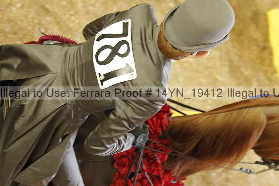 Proof 14yn_19412
