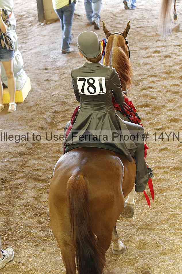 Proof 14yn_19414