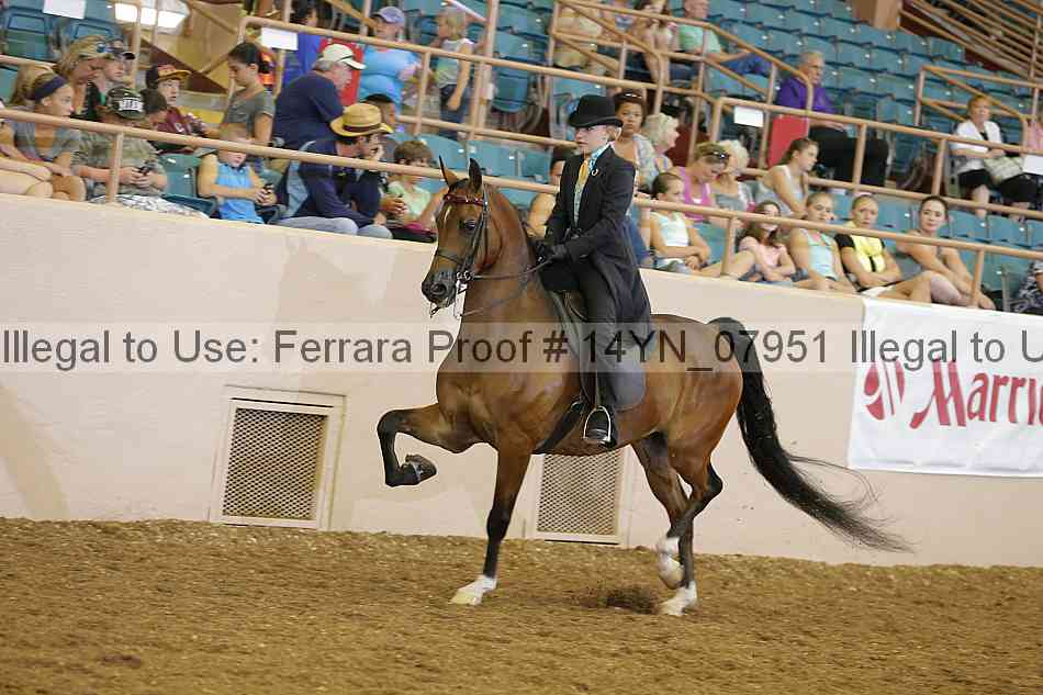 Proof 14yn_07951