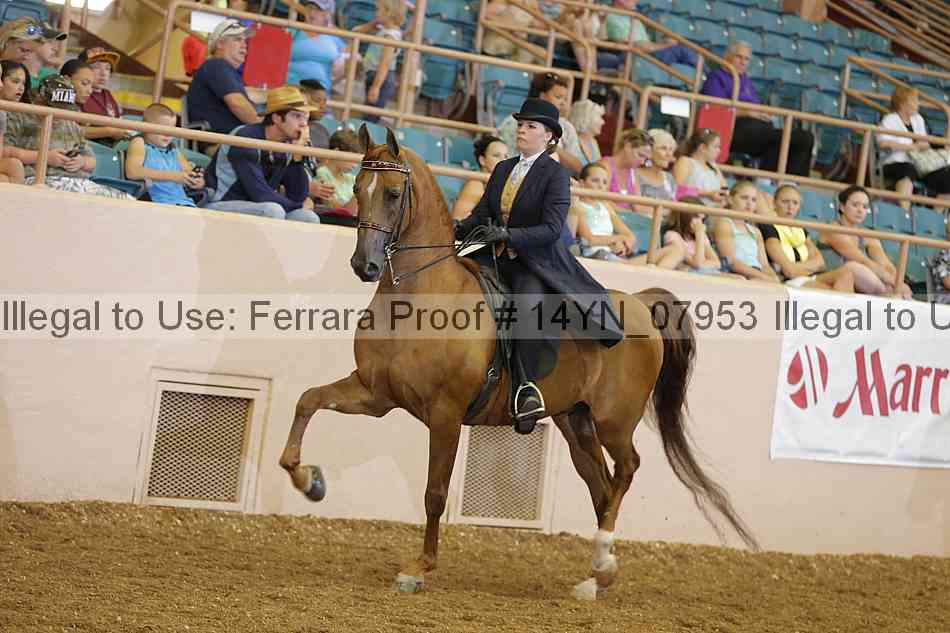 Proof 14yn_07953