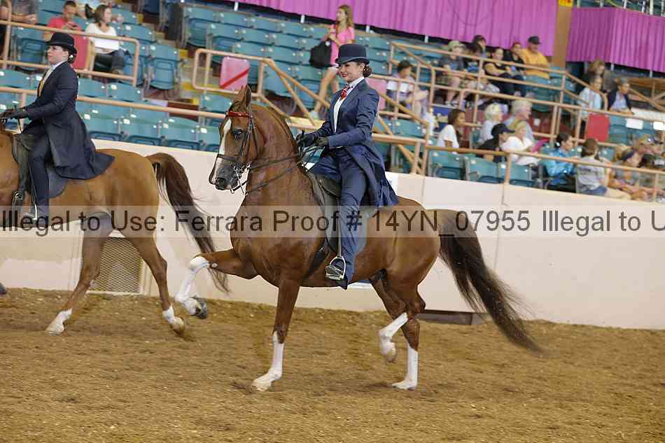 Proof 14yn_07955