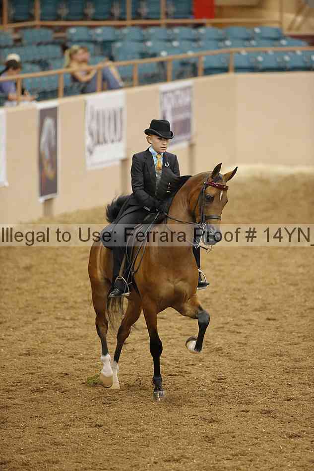 Proof 14yn_07957