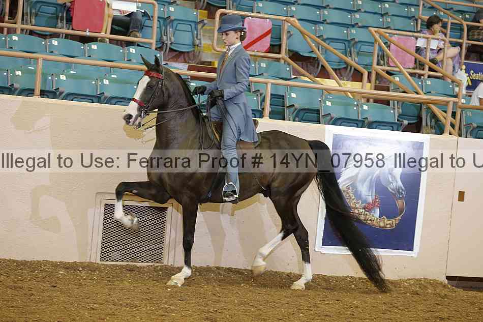 Proof 14yn_07958