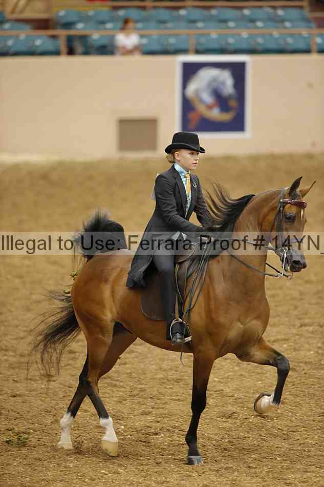 Proof 14yn_07959