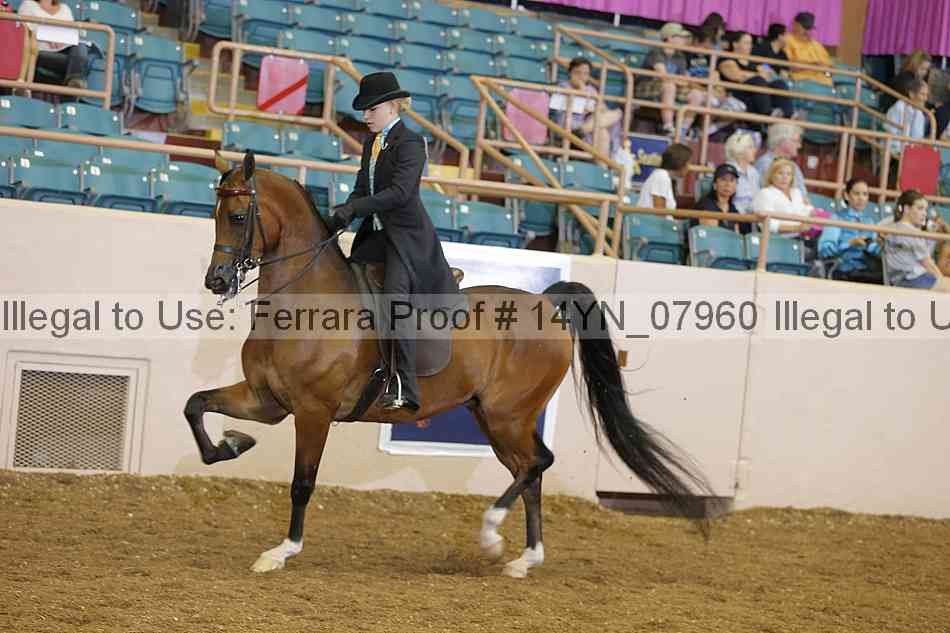 Proof 14yn_07960