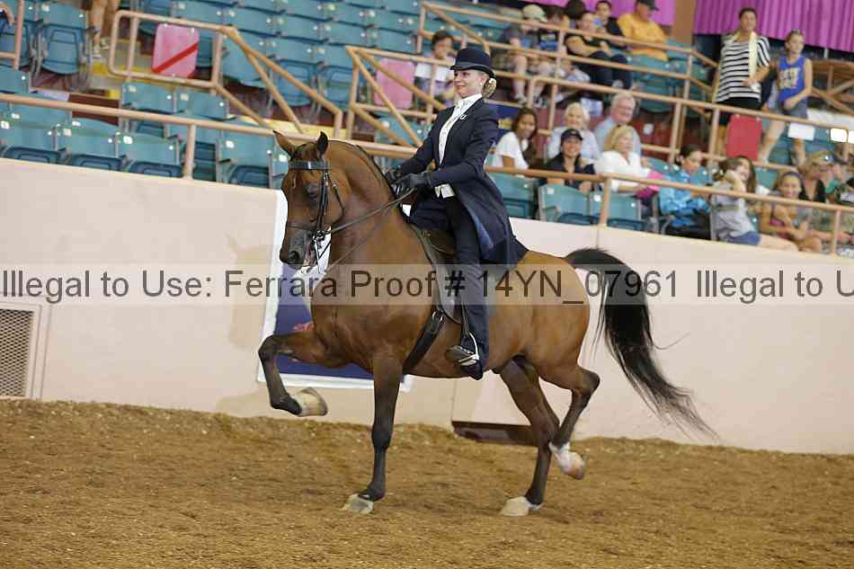 Proof 14yn_07961