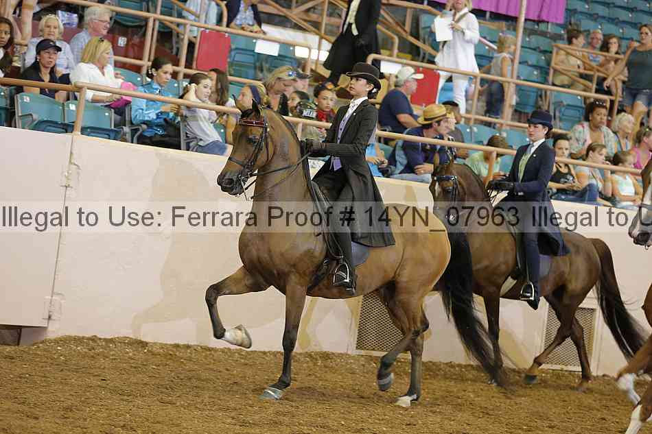Proof 14yn_07963
