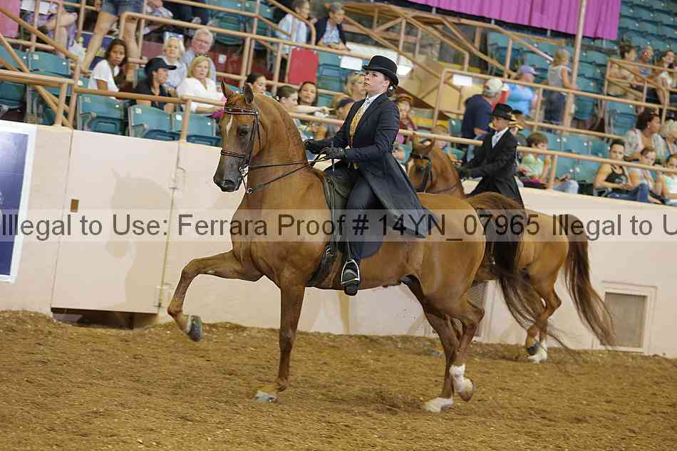 Proof 14yn_07965
