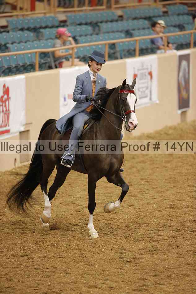 Proof 14yn_07969