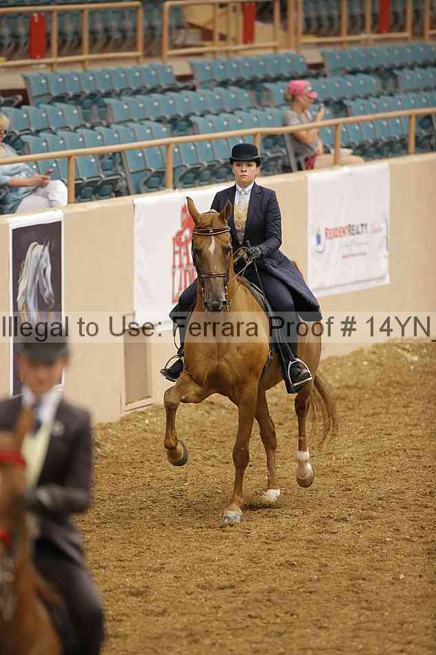 Proof 14yn_07976