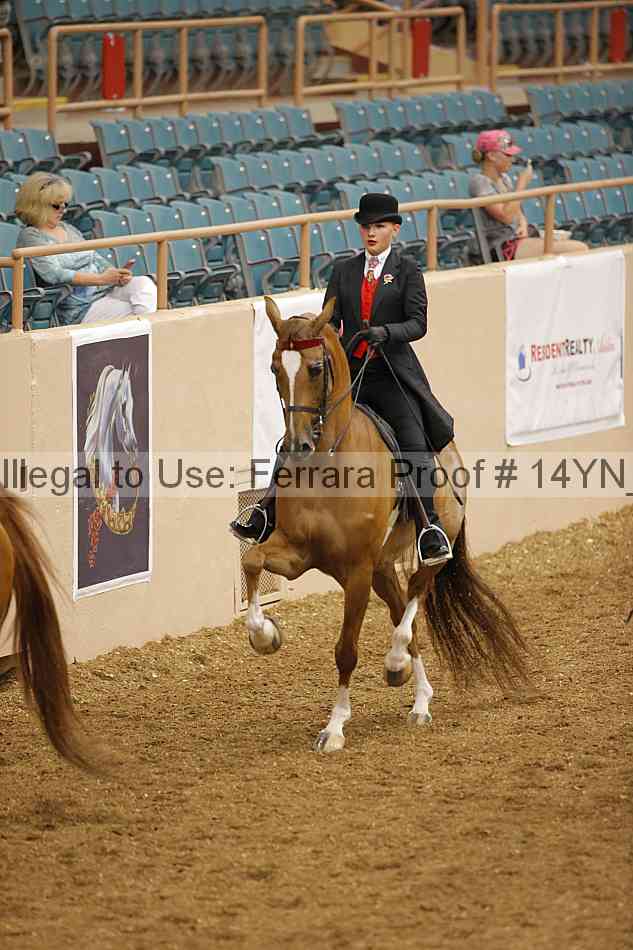 Proof 14yn_07978