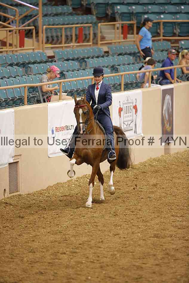 Proof 14yn_07985