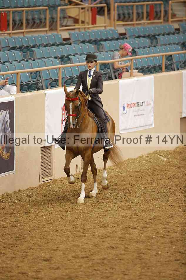 Proof 14yn_07987