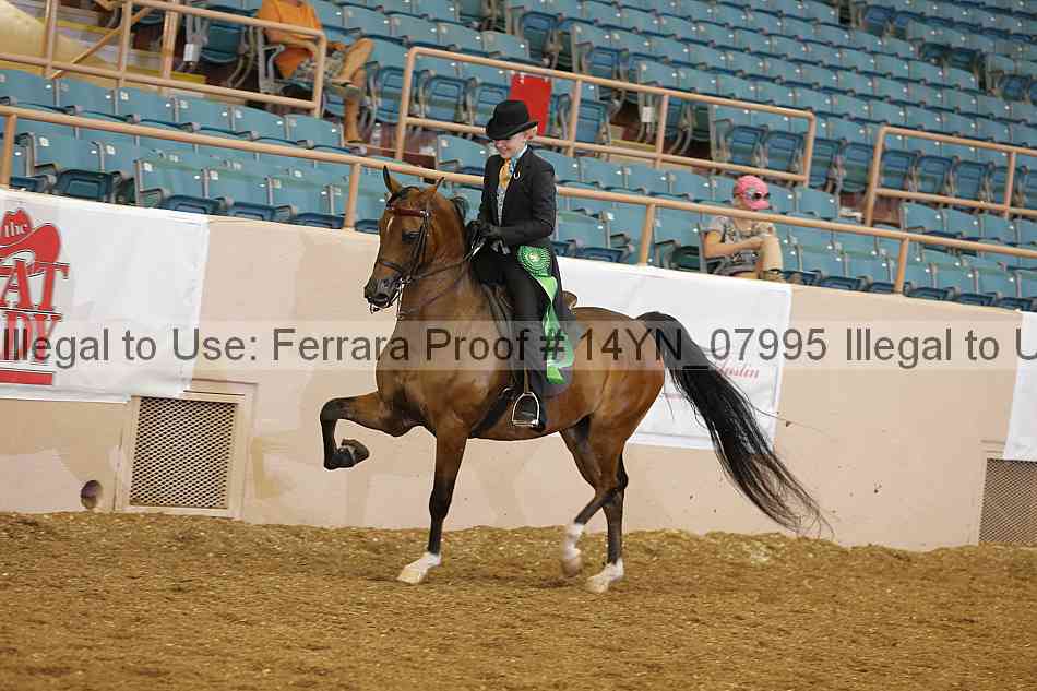 Proof 14yn_07995