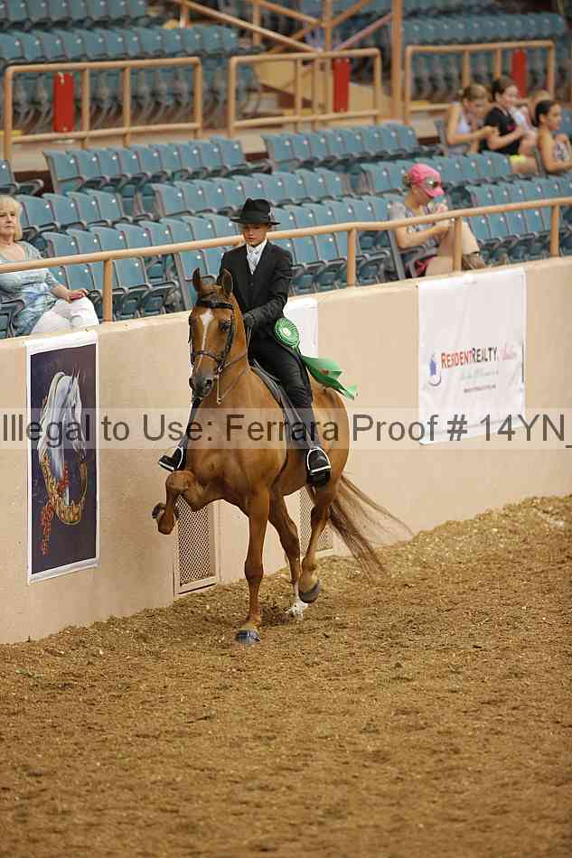 Proof 14yn_08001