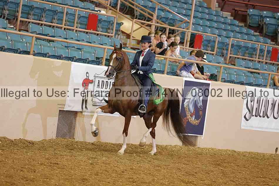 Proof 14yn_08002