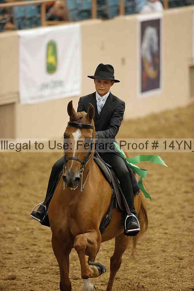 Proof 14yn_08003