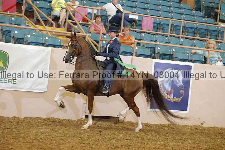 Proof 14yn_08004