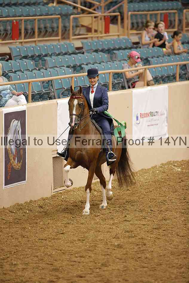 Proof 14yn_08005