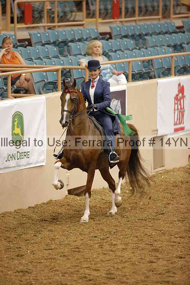 Proof 14yn_08006