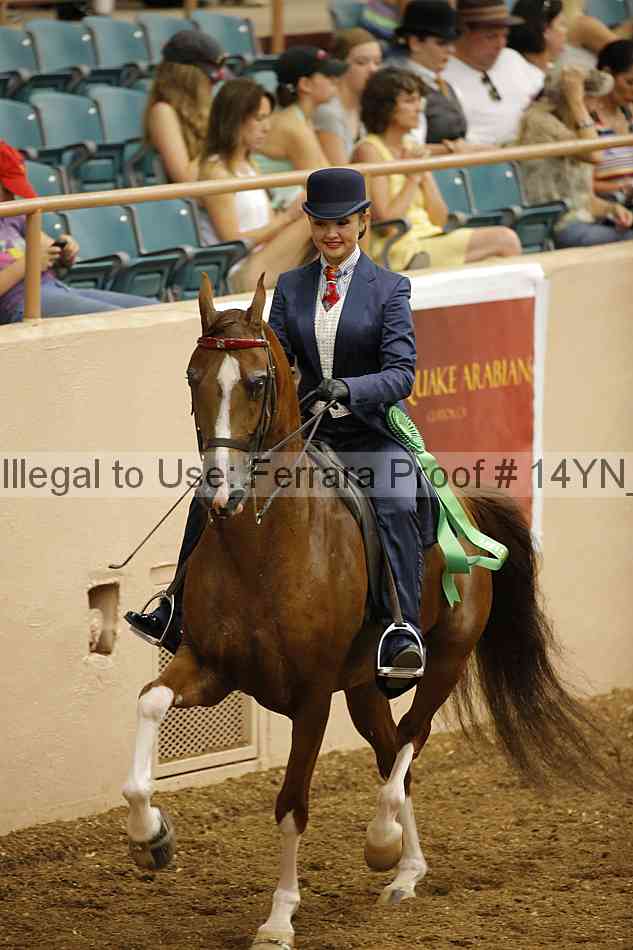 Proof 14yn_08008