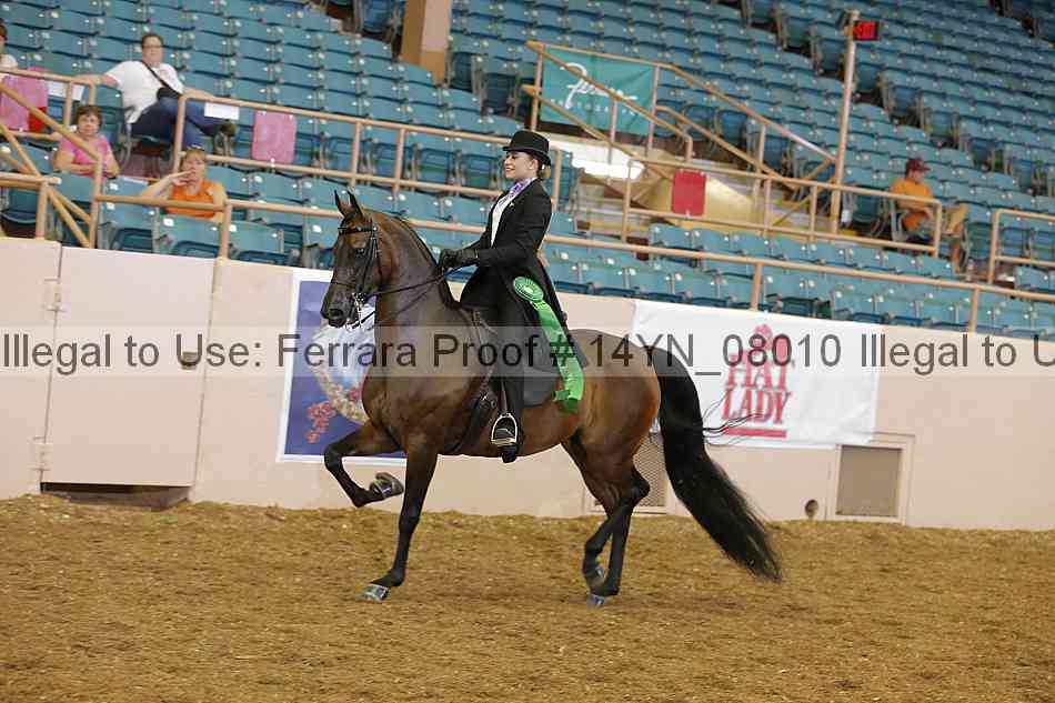 Proof 14yn_08010