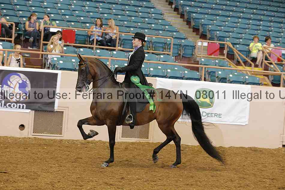 Proof 14yn_08011