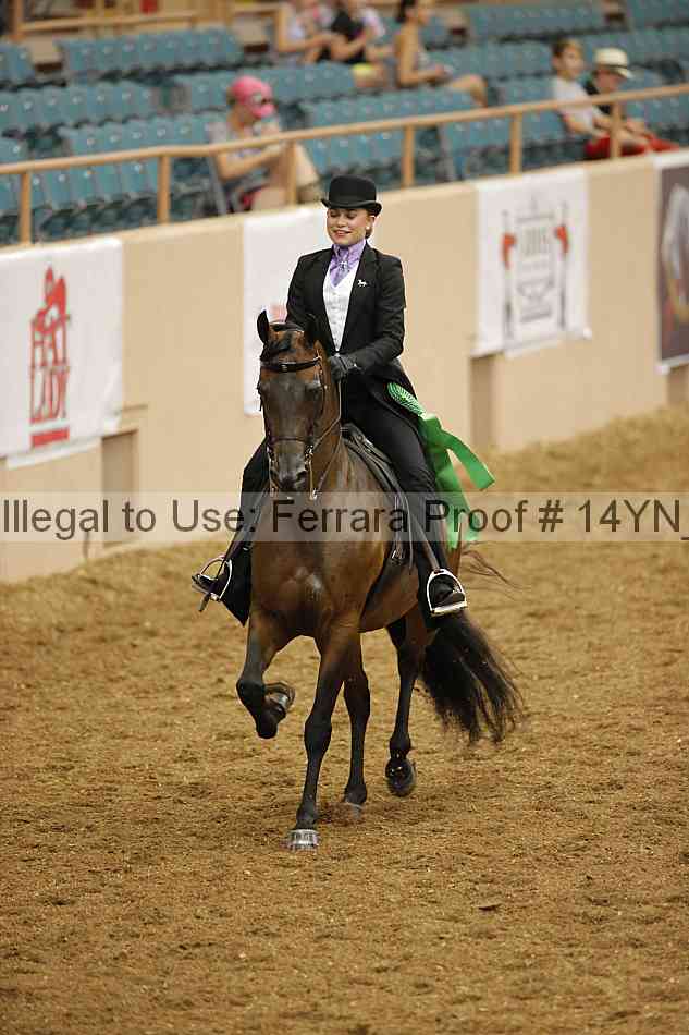 Proof 14yn_08012