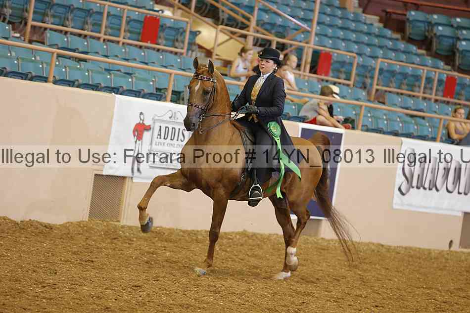 Proof 14yn_08013