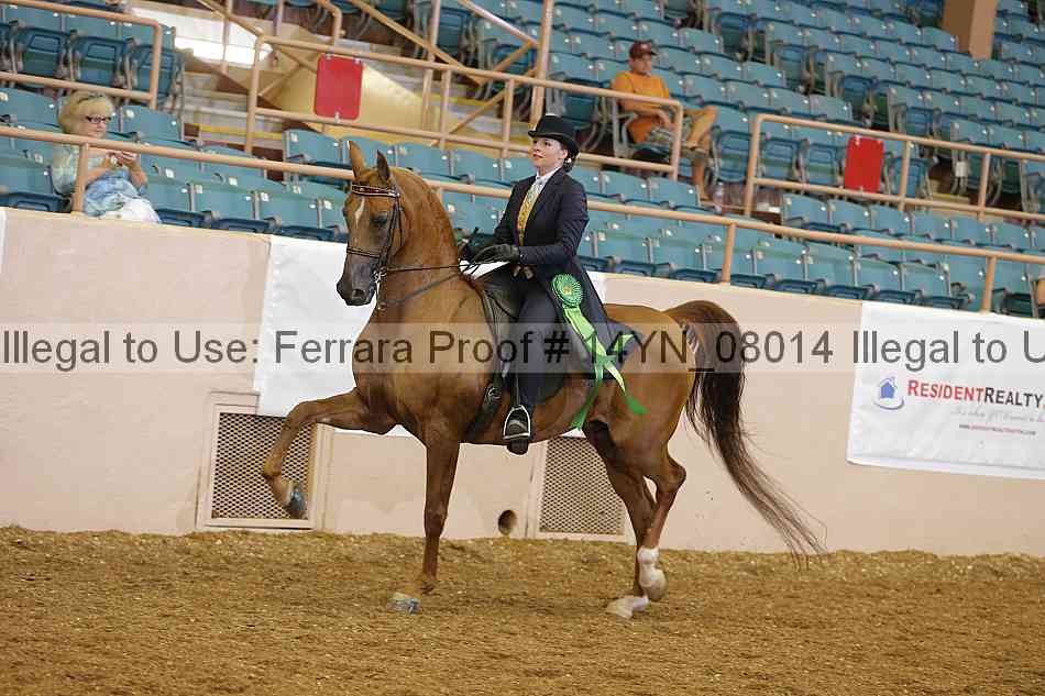 Proof 14yn_08014