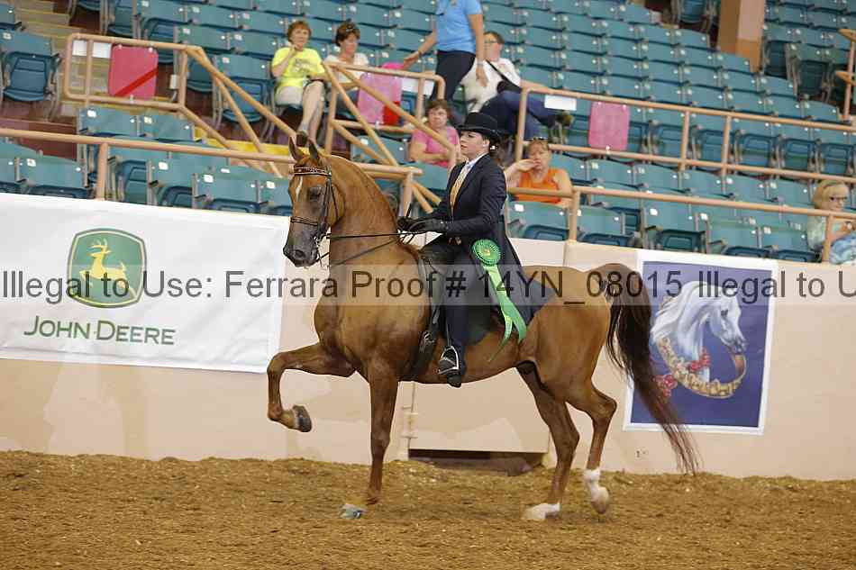 Proof 14yn_08015