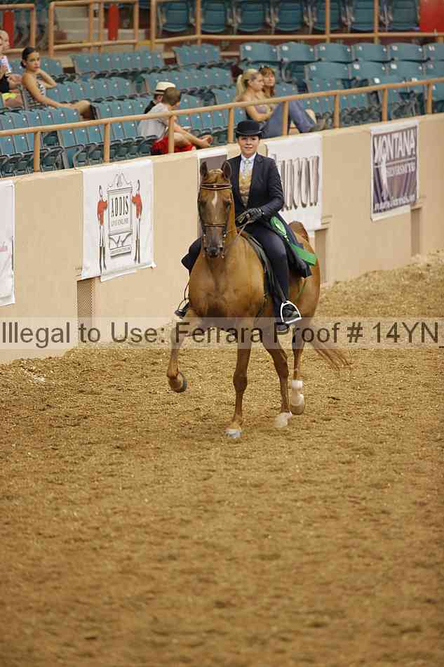 Proof 14yn_08016