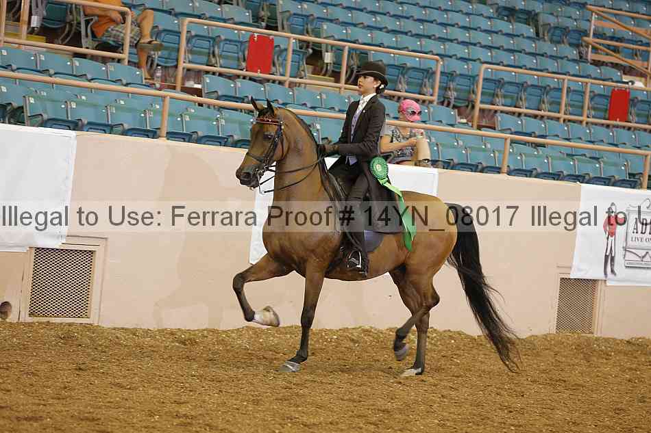 Proof 14yn_08017